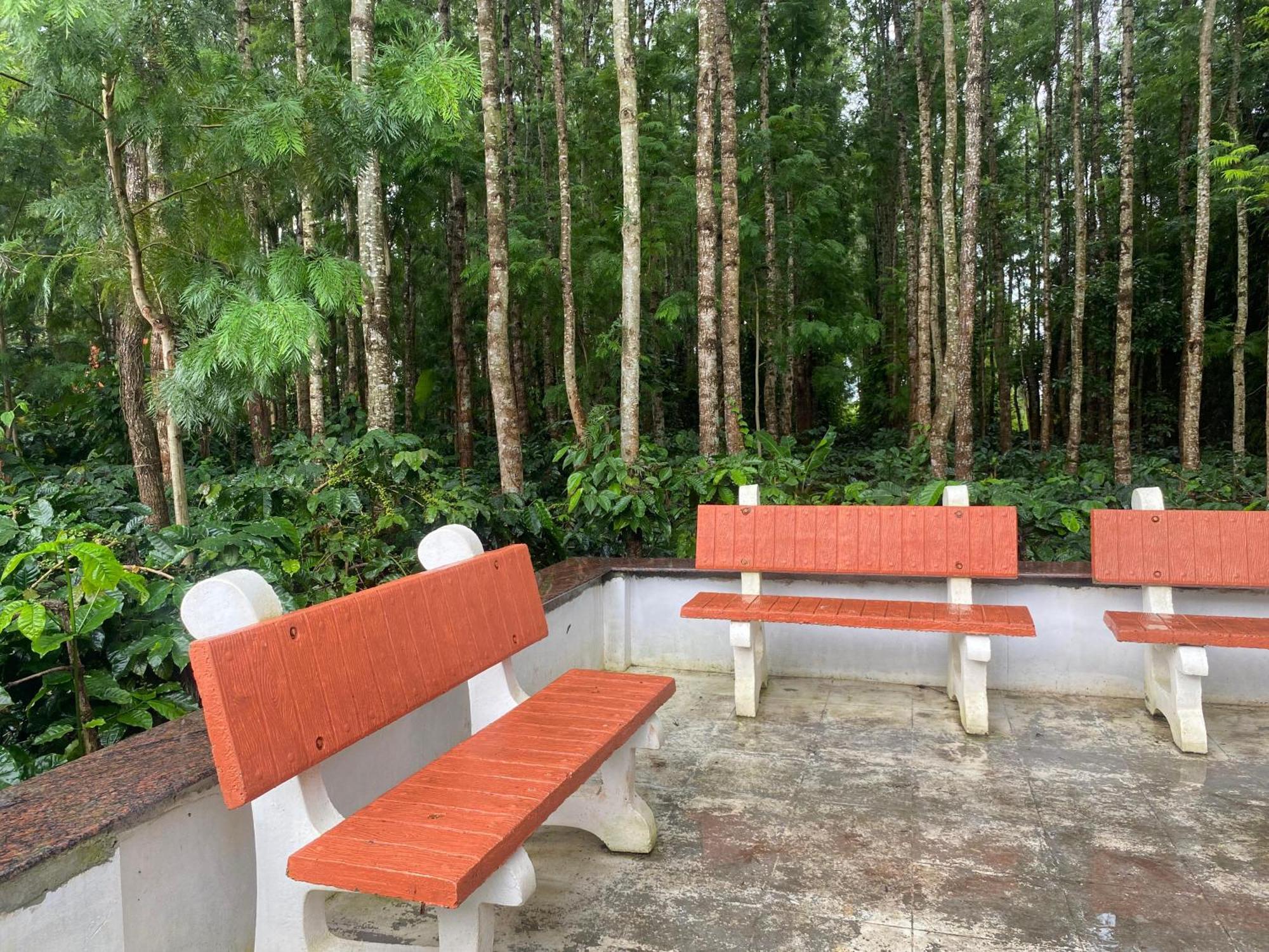 Bougain Villa Chikmagalūr Esterno foto